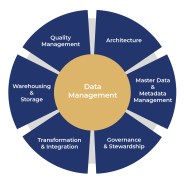 Impact Of Ineffective Data Management Practices On Risk Management