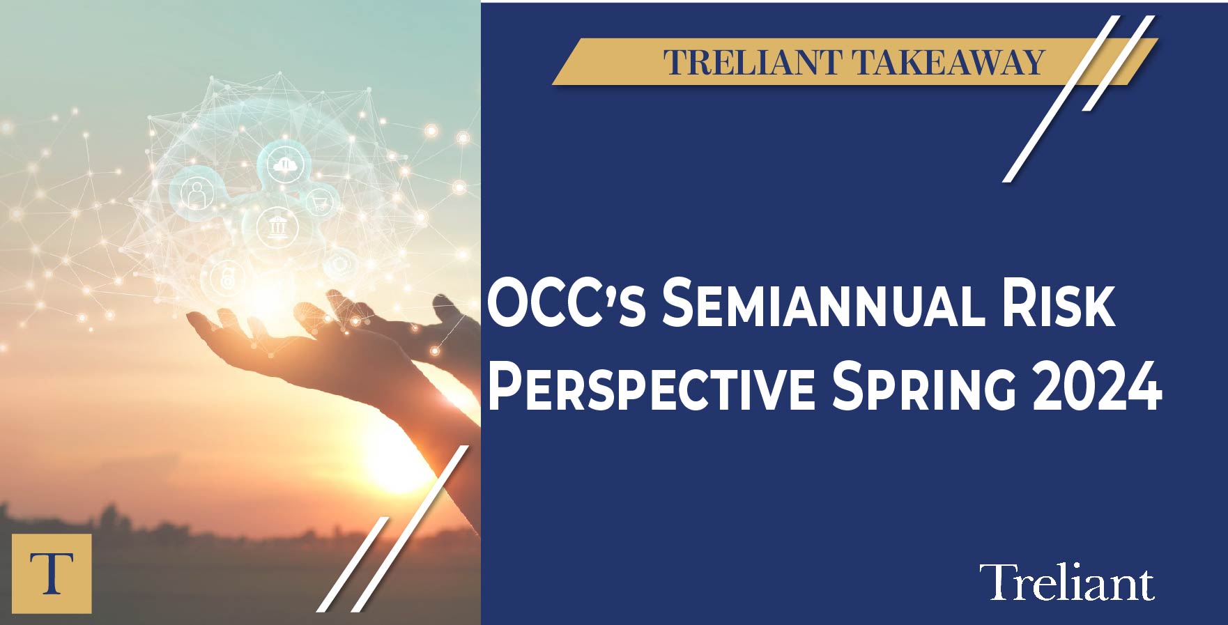 Treliant Takeaway...The OCC’s View of Key Risks Treliant